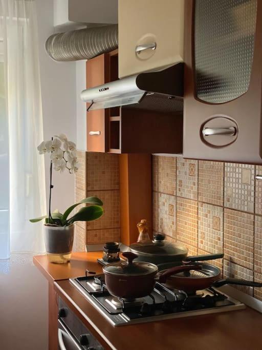 Lovely & Quiet 1-Bedroom Condo With Free Parking Bukarest Eksteriør billede